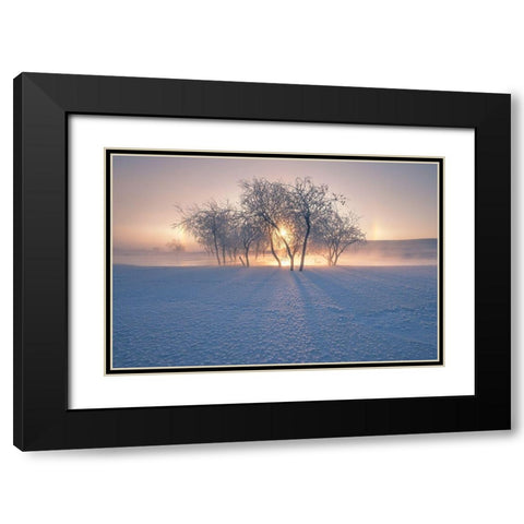 Swan Lake Black Modern Wood Framed Art Print with Double Matting by Z, Bingo