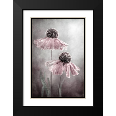 Duet Black Modern Wood Framed Art Print with Double Matting by Disher, Mandy