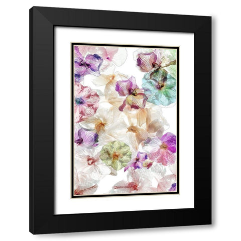 Ghost orchids Black Modern Wood Framed Art Print with Double Matting by Shumilova, Ludmila