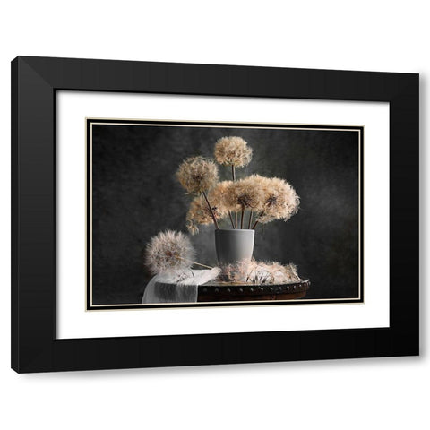 Dandelion Seed Pod Black Modern Wood Framed Art Print with Double Matting by Jacobs, Lydia