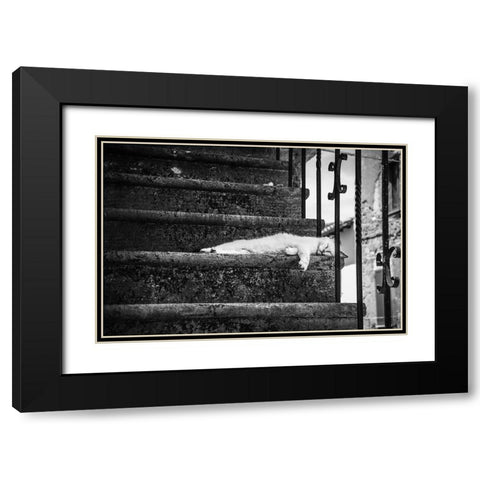 Slow life Black Modern Wood Framed Art Print with Double Matting by Polo, Piera