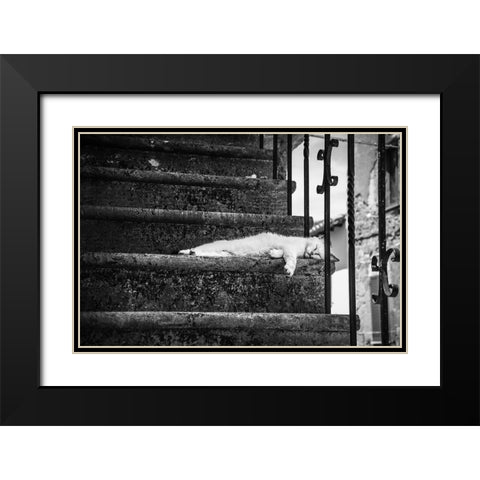 Slow life Black Modern Wood Framed Art Print with Double Matting by Polo, Piera