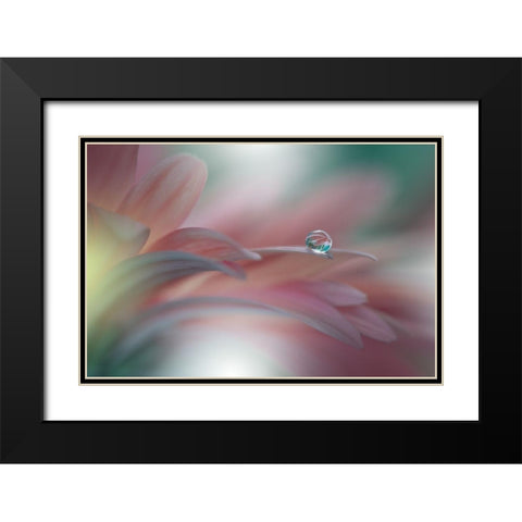 Sunbeam II Black Modern Wood Framed Art Print with Double Matting by Nan, Juliana