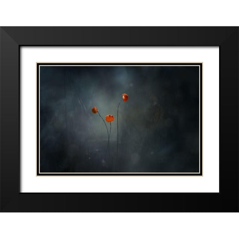Little Mushrooms Black Modern Wood Framed Art Print with Double Matting by Gapur Dayak, Abdul