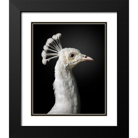 M A J E S T I C Black Modern Wood Framed Art Print with Double Matting by Fegari