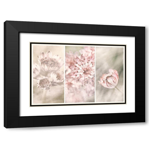 Untitled Black Modern Wood Framed Art Print with Double Matting by Davidsson, Gustav