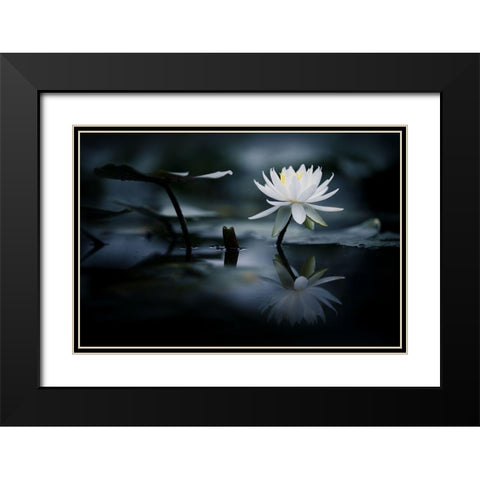 Reflection Black Modern Wood Framed Art Print with Double Matting by Suzuki, Takashi