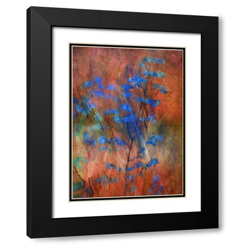 Colors Dance on Flowers Black Modern Wood Framed Art Print with Double Matting by Devos, Delphine