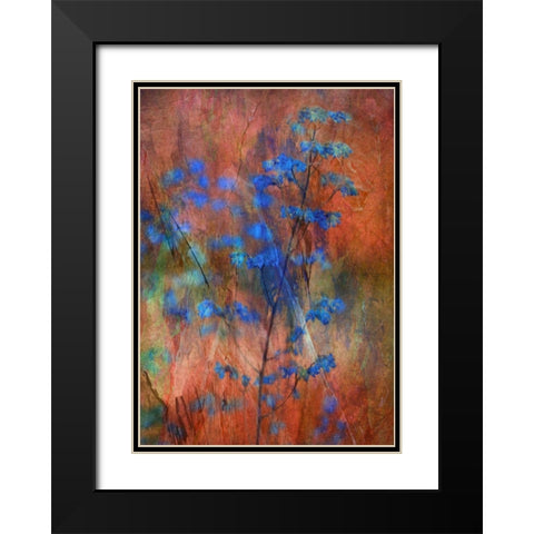Colors Dance on Flowers Black Modern Wood Framed Art Print with Double Matting by Devos, Delphine