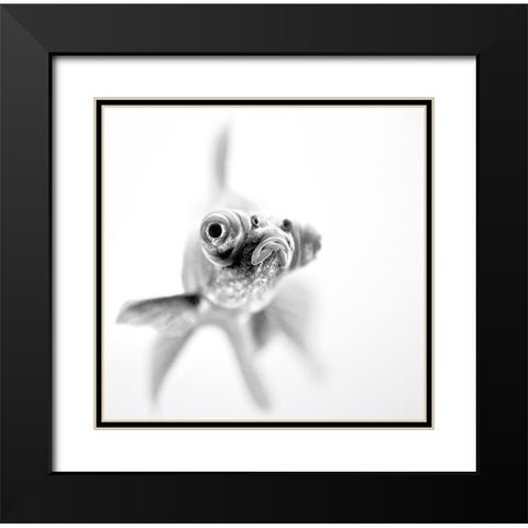 Im ready for my close up Black Modern Wood Framed Art Print with Double Matting by Paul