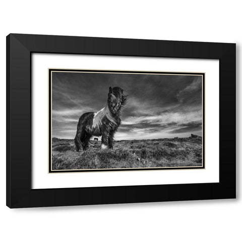 Two of a kind Black Modern Wood Framed Art Print with Double Matting by Ingibergsson, Bragi