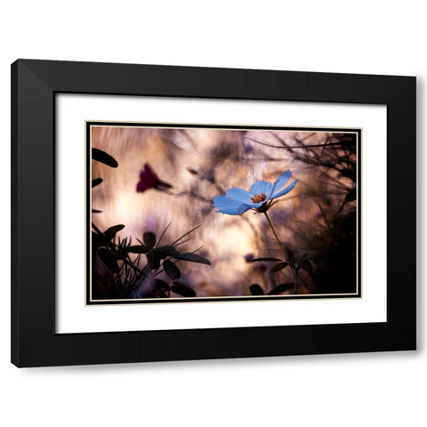 Lindifference Black Modern Wood Framed Art Print with Double Matting by Bravin, Fabien