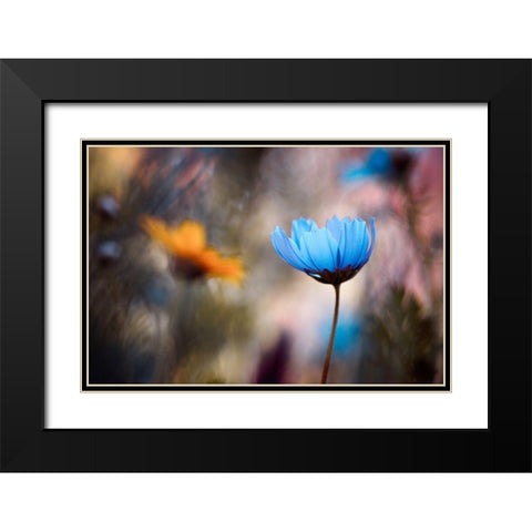 Do you wanna dance with me Black Modern Wood Framed Art Print with Double Matting by Bravin, Fabien