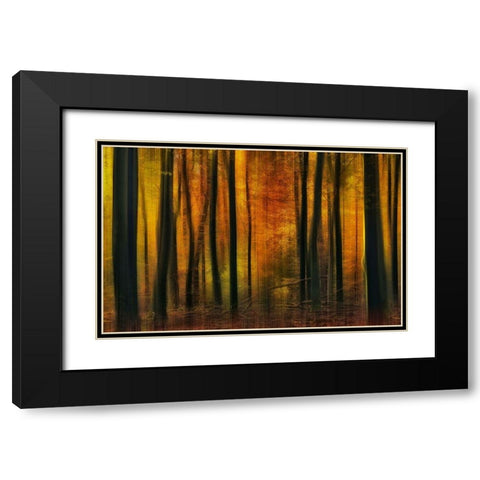 Autumn falls Black Modern Wood Framed Art Print with Double Matting by Paul Kraaij, Jan