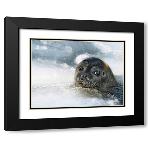 do you have a fish ? Black Modern Wood Framed Art Print with Double Matting by Droste, Holger