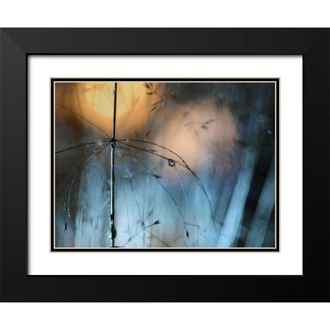 Almost dark Black Modern Wood Framed Art Print with Double Matting by Westum, Heidi