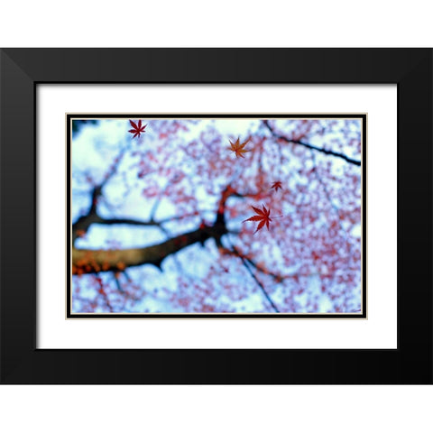 heirinji Black Modern Wood Framed Art Print with Double Matting by Tomihisa, Kouji