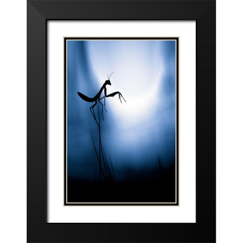 Last Night On Earth Black Modern Wood Framed Art Print with Double Matting by Bravin, Fabien