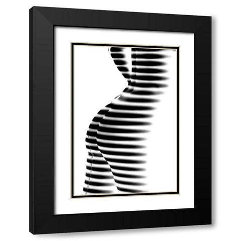 Zebra Black Modern Wood Framed Art Print with Double Matting by P., Mato