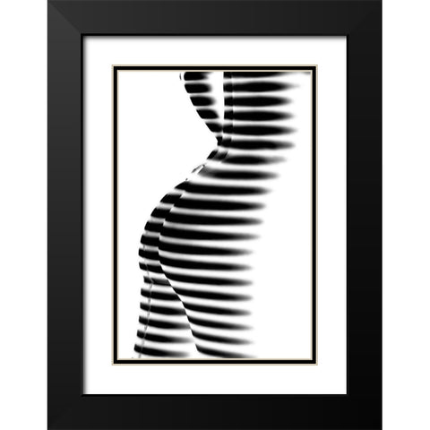 Zebra Black Modern Wood Framed Art Print with Double Matting by P., Mato
