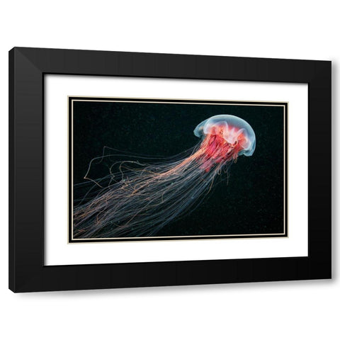 Longtail Black Modern Wood Framed Art Print with Double Matting by Semenov, Alexander