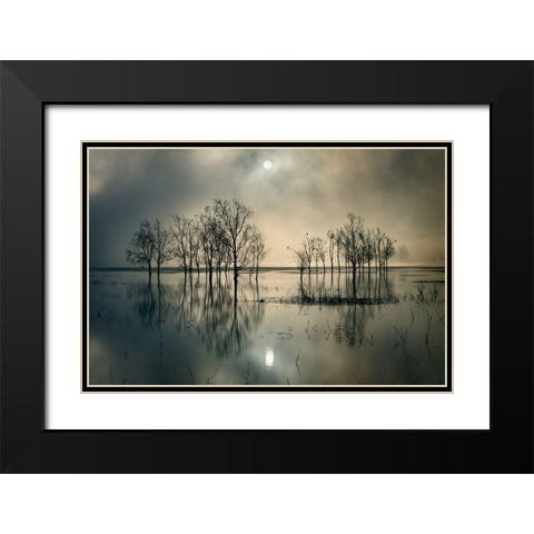 Lakes Secret Black Modern Wood Framed Art Print with Double Matting by Joanne_Flj