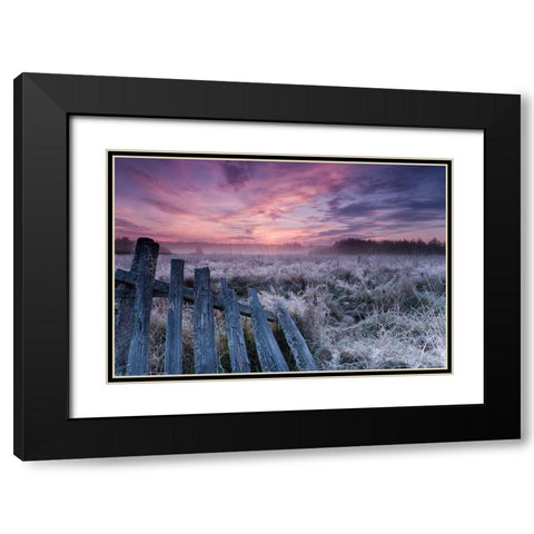Dawn of Bialowieza Meadows Black Modern Wood Framed Art Print with Double Matting by Lorant, Krzysztof