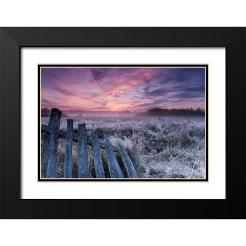 Dawn of Bialowieza Meadows Black Modern Wood Framed Art Print with Double Matting by Lorant, Krzysztof