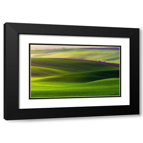 Verdant land Black Modern Wood Framed Art Print with Double Matting by Krol (Bax), Piotr