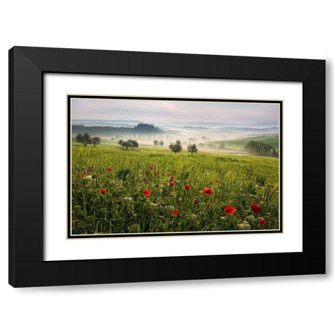 Tuscan spring Black Modern Wood Framed Art Print with Double Matting by Rericha, Daniel