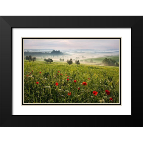 Tuscan spring Black Modern Wood Framed Art Print with Double Matting by Rericha, Daniel