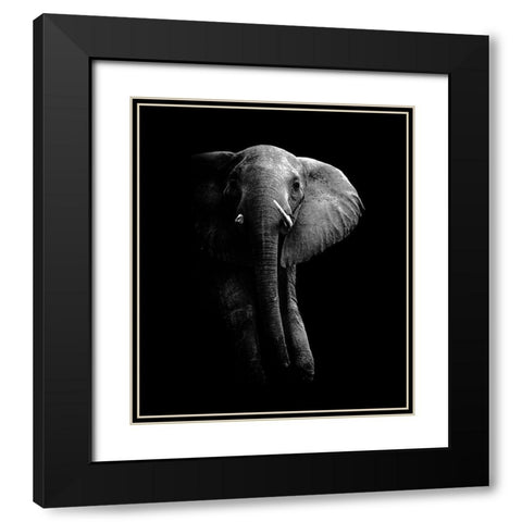Elephant Black Modern Wood Framed Art Print with Double Matting by Wildphotoart