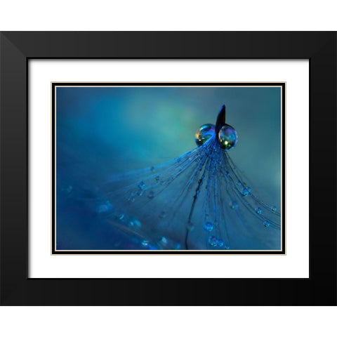 Dancing into the blue night Black Modern Wood Framed Art Print with Double Matting by Westum, Heidi
