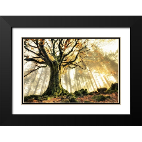 November Black Modern Wood Framed Art Print with Double Matting by Kiciak, Christophe