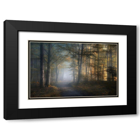 autumn symphony Black Modern Wood Framed Art Print with Double Matting by Maier, Norbert