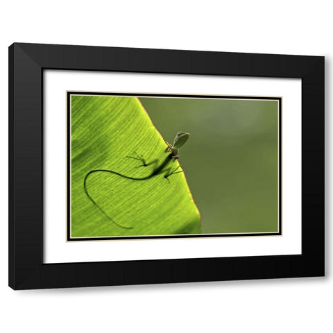 Hallo Black Modern Wood Framed Art Print with Double Matting by Santosa, Yoline