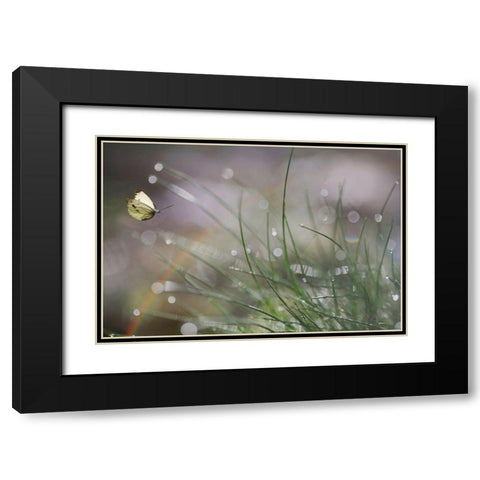 Imminent Landing Black Modern Wood Framed Art Print with Double Matting by Cseresnjes, Anna