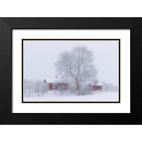 Winter idyll Black Modern Wood Framed Art Print with Double Matting by Wallberg, Allan