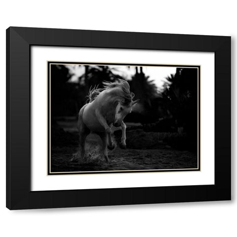 Boast Black Modern Wood Framed Art Print with Double Matting by Al-Saeed, Abdullah
