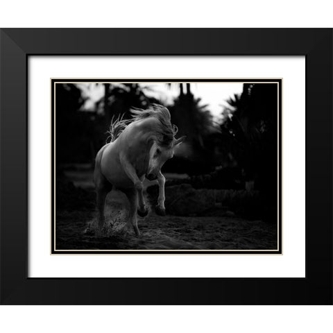 Boast Black Modern Wood Framed Art Print with Double Matting by Al-Saeed, Abdullah