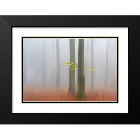 Autumnmorning Black Modern Wood Framed Art Print with Double Matting by Limberg, Huib