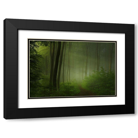 forest morning Black Modern Wood Framed Art Print with Double Matting by Maier, Norbert