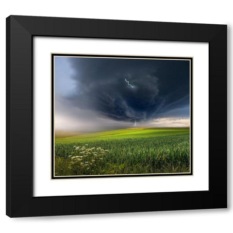 June storm Black Modern Wood Framed Art Print with Double Matting by Schumacher, Nicolas