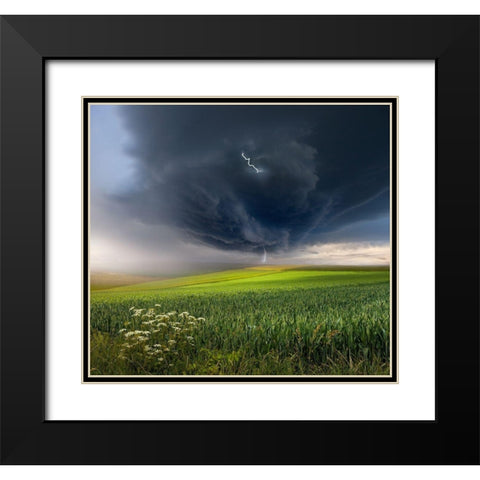 June storm Black Modern Wood Framed Art Print with Double Matting by Schumacher, Nicolas