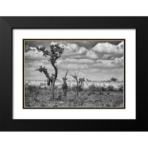 The last unicorn Black Modern Wood Framed Art Print with Double Matting by Rebro, Marcel