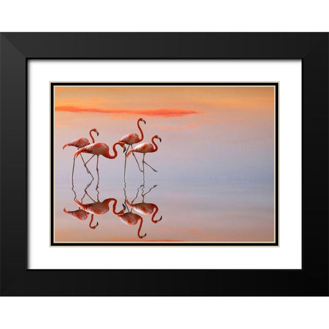 flamingos family Black Modern Wood Framed Art Print with Double Matting by Cseresnjes, Anna
