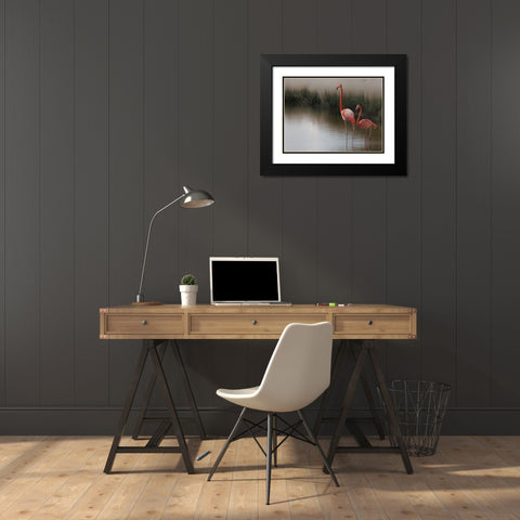 so zen ... Black Modern Wood Framed Art Print with Double Matting by Cseresnjes, Anna