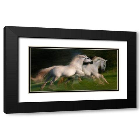 gallop for two Black Modern Wood Framed Art Print with Double Matting by Malovrh, Milan