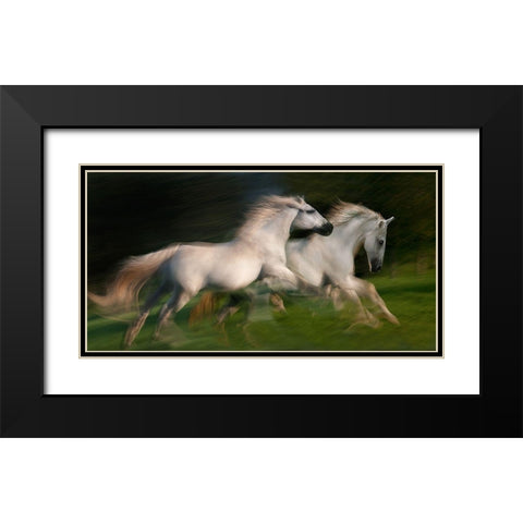 gallop for two Black Modern Wood Framed Art Print with Double Matting by Malovrh, Milan