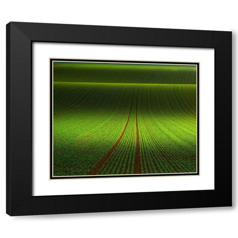 November Green Black Modern Wood Framed Art Print with Double Matting by Schumacher, Nicolas
